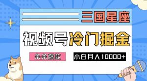 2024视频号三国冷门赛道掘金，条条视频爆款，操作简单轻松上手，新手小白也能月入1w-520资源库