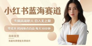 小红书蓝海赛道，圈中高端职场人，月入无上限，可矩阵，内含私域实操教程!-520资源库