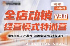 全店动销经营模式特训营，指哪打哪100%精准拉新保姆式起店实操课程-520资源库