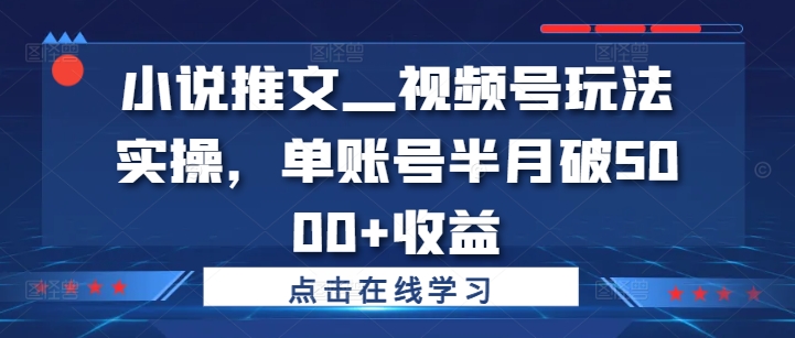 小说推文—视频号玩法实操，单账号半月破5000+收益-520资源库