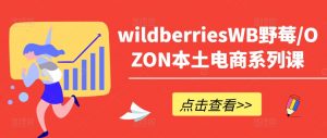 wildberriesWB野莓/OZON本土电商系列课，掌握WB产品优化，出单技巧和订单处理等-520资源库