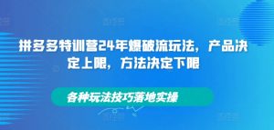 拼多多特训营24年爆破流玩法，产品决定上限，方法决定下限，各种玩法技巧落地实操-520资源库