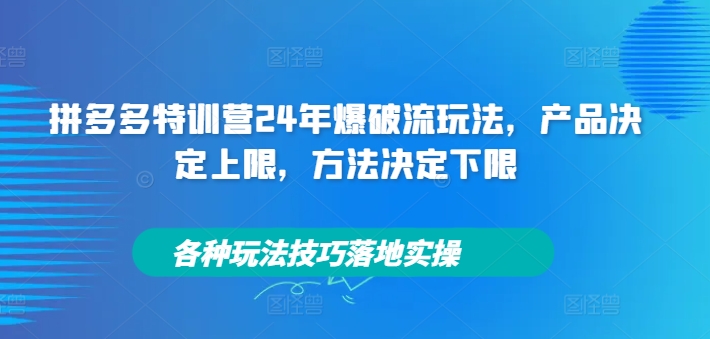 拼多多特训营24年爆破流玩法，产品决定上限，方法决定下限，各种玩法技巧落地实操-520资源库