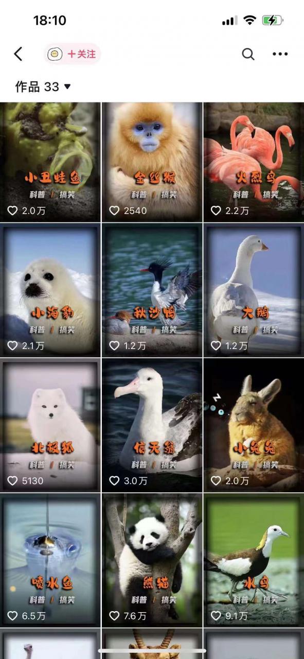 动物科普解说项目，撸创作者伙伴计划收益，保姆级实战教程-520资源库