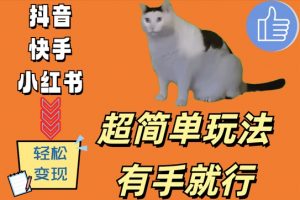 超简单玩法，有手就行，靠猫咪视频日入500+【揭秘】-520资源库