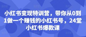 小红书变现特训营，带你从0到1做一个赚钱的小红书号，24堂小红书爆款课-520资源库