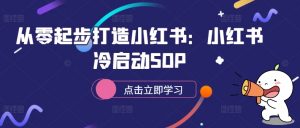 从零起步打造小红书：小红书冷启动SOP-520资源库