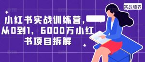 小红书实战训练营，从0到1，6000万小红书项目拆解-520资源库