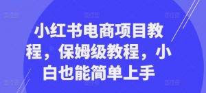 小红书电商项目教程，保姆级教程，小白也能简单上手-520资源库