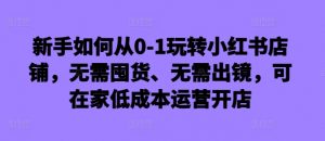 新手如何从0-1玩转小红书店铺，无需囤货、无需出镜，可在家低成本运营开店-520资源库