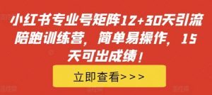 小红书专业号矩阵12+30天引流陪跑训练营，简单易操作，15天可出成绩!-520资源库