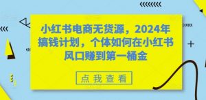 小红书电商无货源，2024年搞钱计划，个体如何在小红书风口赚到第一桶金-520资源库