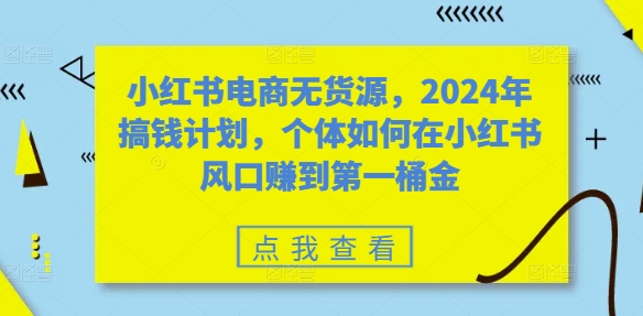 小红书电商无货源，2024年搞钱计划，个体如何在小红书风口赚到第一桶金-520资源库