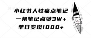 小红书人性痛点笔记,一条笔记点赞3W+,单日变现1k-520资源库