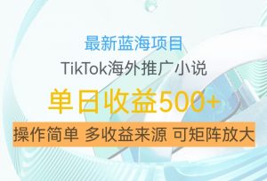 最新蓝海项目，利用tiktok海外推广小说赚钱佣金，简单易学，日入500+，可矩阵放大【揭秘】-520资源库