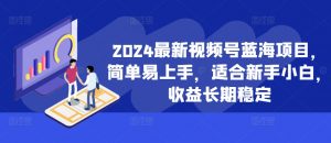 2024最新视频号蓝海项目，简单易上手，适合新手小白，收益长期稳定-520资源库