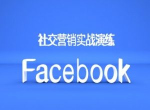 Facebook社交营销实战演练，外贸人绝对不能错过的营销推广平台-520资源库