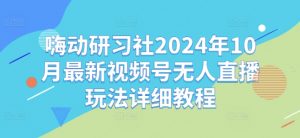嗨动研习社2024年10月最新视频号无人直播玩法详细教程-520资源库