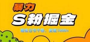 单人单机日引千粉，变现1k+，S粉流量掘金计划攻略【揭秘】-520资源库