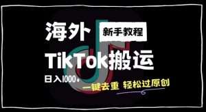 2024最新海外TikTok搬运玩法，一键去重轻松过原创，新手无经验也能日入1k【揭秘】-520资源库