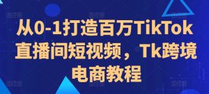 从0-1打造百万TikTok直播间短视频，Tk跨境电商教程-520资源库