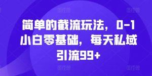 简单的截流玩法，0-1小白零基础，每天私域引流99+【揭秘】-520资源库