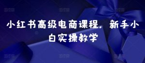 小红书高级电商课程，新手小白实操教学-520资源库