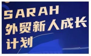 外贸新人成长计划，外贸新人学起来，偷偷让自己变强大-520资源库