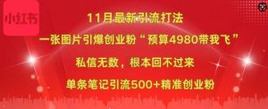 小红书11月最新图片打粉，一张图片引爆创业粉，“预算4980带我飞”，单条引流500+精准创业粉-520资源库