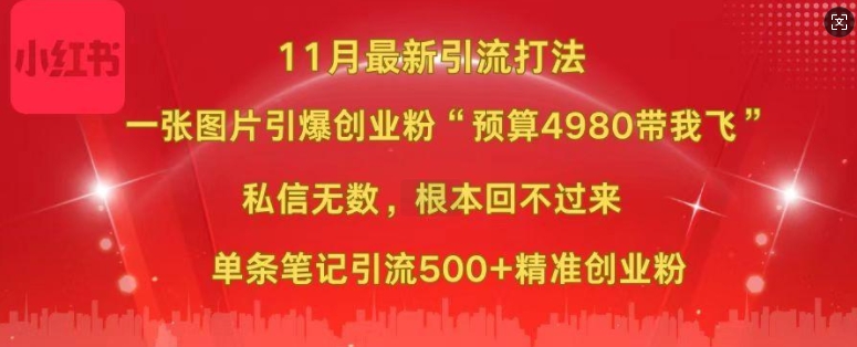 小红书11月最新图片打粉，一张图片引爆创业粉，“预算4980带我飞”，单条引流500+精准创业粉-520资源库