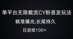 单平台无限截流创业粉首发玩法,精准曝光,长尾持久,日引流100+【揭秘】-520资源库