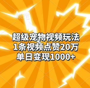超级宠物视频玩法，1条视频点赞20万，单日变现1k-520资源库