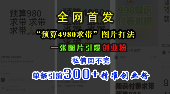 小红书“预算4980带我飞”图片打法，一张图片引爆创业粉，私信回不完，单条引流300+精准创业粉-520资源库