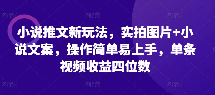 小说推文新玩法,实拍图片+小说文案,操作简单易上手,单条视频收益四位数-520资源库