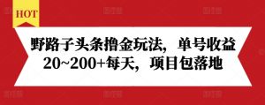 野路子头条撸金玩法，单号收益20~200+每天，项目包落地-520资源库