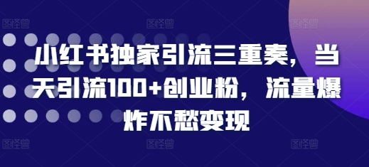 小红书独家引流三重奏，当天引流100+创业粉，流量爆炸不愁变现【揭秘】-520资源库
