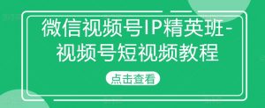 微信视频号IP精英班-视频号短视频教程-520资源库