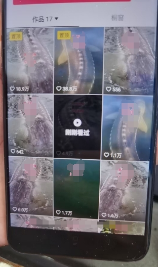 外面卖399的国学佛像原创暴力起号技术，快速起号，7天可达到一个万粉号-520资源库