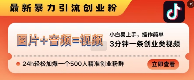 抖音最新暴力引流创业粉，3分钟一条创业类视频，24h轻松加爆一个500人精准创业粉群【揭秘】-520资源库