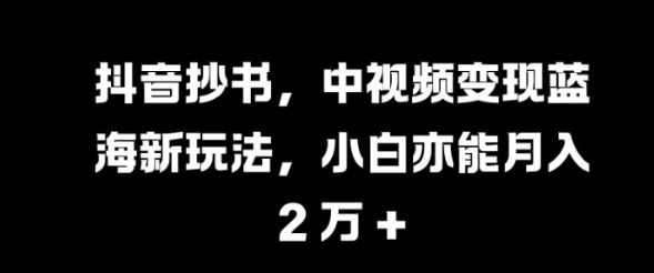 抖音抄书，中视频变现蓝海新玩法，小白亦能月入 过W【揭秘】-520资源库
