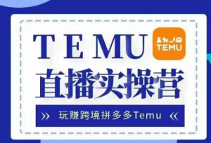 Temu直播实战营,玩赚跨境拼多多Temu,国内电商卷就出海赚美金-520资源库