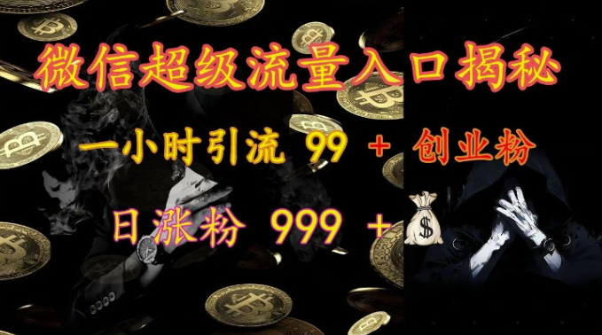 微信超级流量入口揭秘：一小时引流 99 + 创业粉，日涨粉 999 +-520资源库