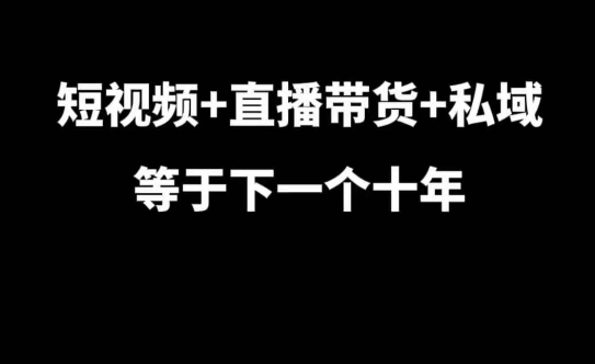 短视频+直播带货+私域等于下一个十年，大佬7年实战经验总结-520资源库