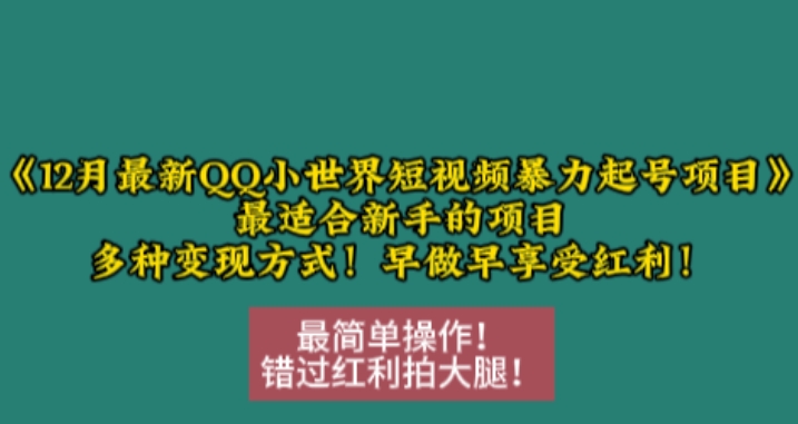 12月最新QQ小世界短视频暴力起号项目，最适合新手的项目，多种变现方式-520资源库