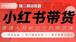 小Red书带货42天训练营 2.0版,宝妈+自由职+上班族+大学生,提高副业收入的大红利项目-520资源库
