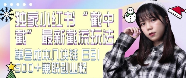 最新小红书截流玩法 独家截中截 单号成本几块钱 日引500+CY粉JZ粉-520资源库