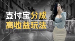 支付宝分成计划新玩法,利用交通事故视频,赚收益,轻松月入过W,操作简单【揭秘】-520资源库