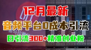 12月最新：音频平台0成本引流，日引流300+精准创业粉-520资源库