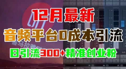 12月最新：音频平台0成本引流，日引流300+精准创业粉-520资源库