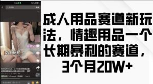 成人用品赛道新玩法，情趣用品一个长期暴利的赛道，3个月收益20个【揭秘】-520资源库
